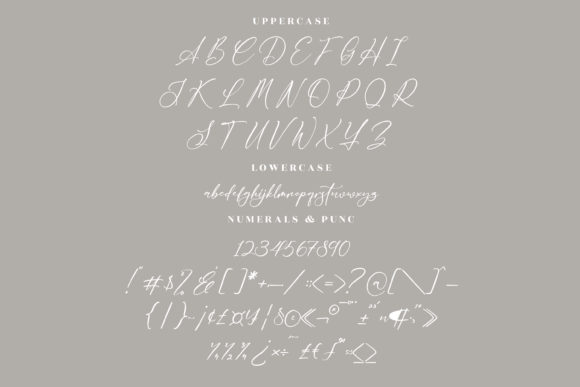 Delistaria Signature Font Poster 13