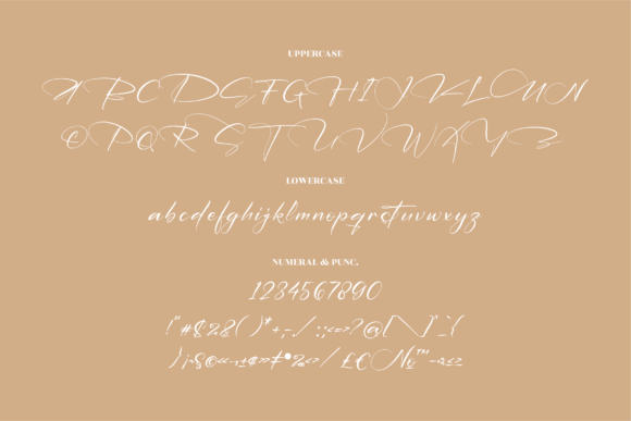 Delmonte Belarina Font Poster 13