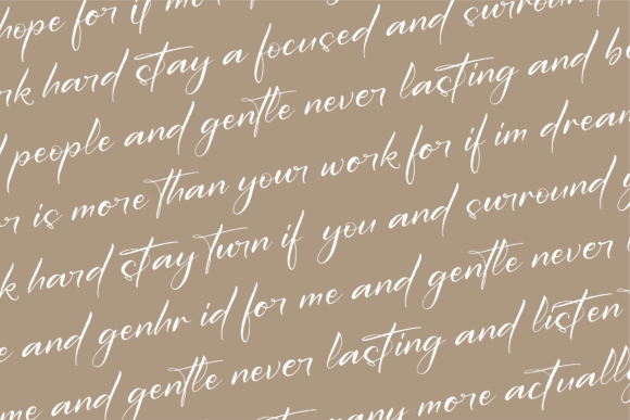 Delmonte Belarina Font Poster 8