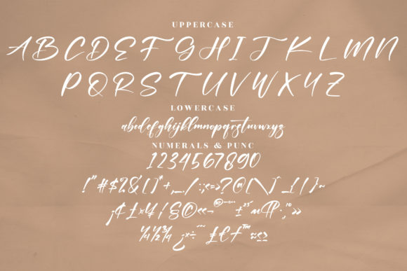 Delttras Font Poster 13