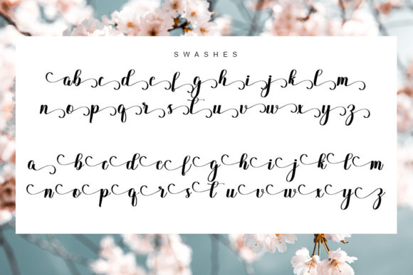 Delysha Script Font Poster 4