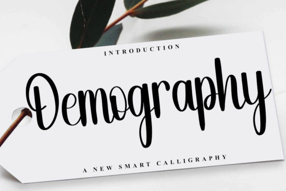 Demography Font Poster 1