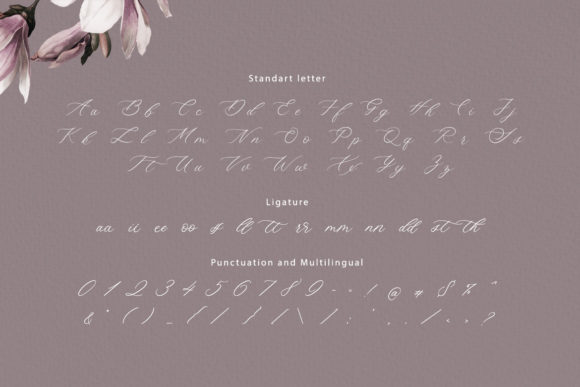 Denise Beauty Font Poster 8