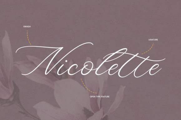 Denise Beauty Font Poster 9