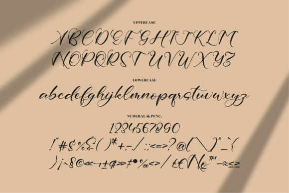 Dettina Girls Font Poster 13