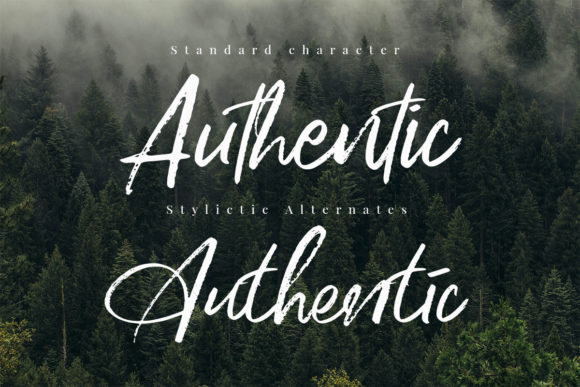 Deutchsland Signature Font Poster 5