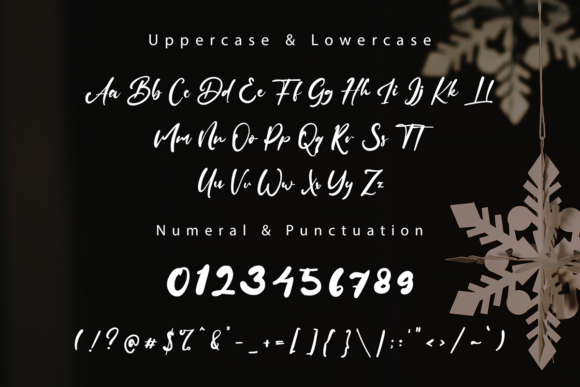 Diallova Fest Font Poster 8