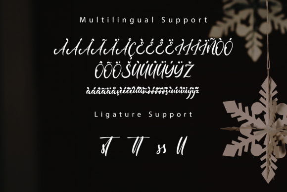 Diallova Fest Font Poster 9
