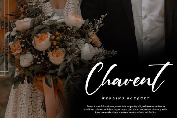Diane Evans Font Poster 4