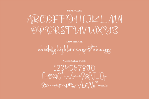 Dignhaty Font Poster 13