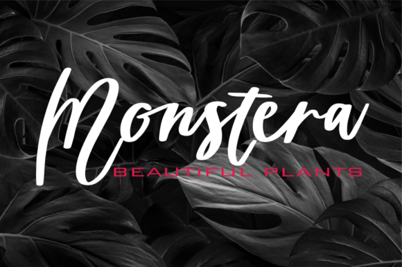 Doctor Directur Font Poster 2