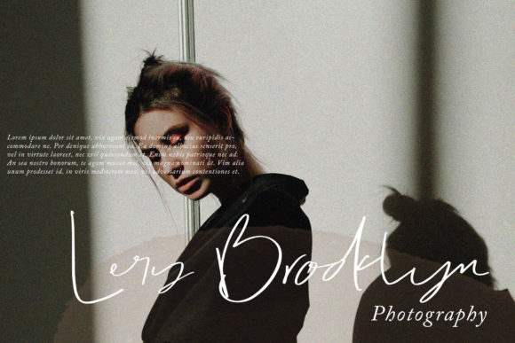 Dolce Stylish Font Poster 2