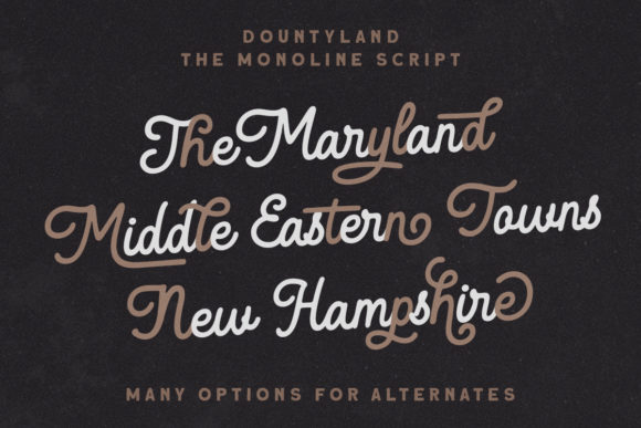 Dountyland Font Poster 2