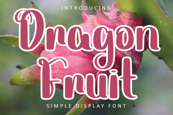Dragon Fruit Font Poster 1