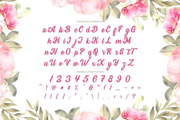 Dream Flourish Font Poster 12