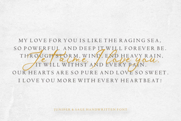 Dronningen Signature Font Poster 4