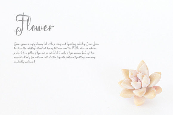 Earlington Font Poster 4