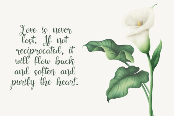 Elant Font Poster 5