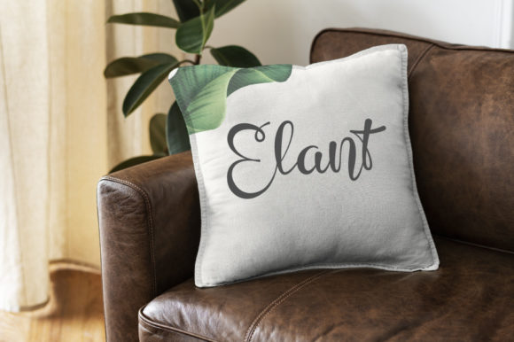 Elant Font Poster 6