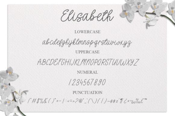 Elisabeth Font Poster 9