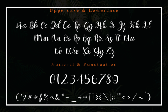 Elizabeth Darby Font Poster 8