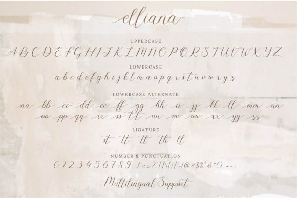 Elliana Font Poster 9