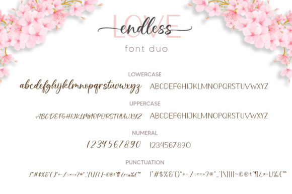 Endless Love Font Poster 8