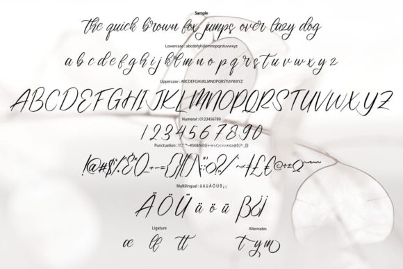 Entalyum Font Poster 6