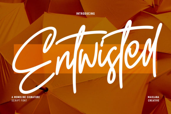 Entwisted Font Poster 1