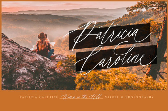Erlinka Hillary Font Poster 3