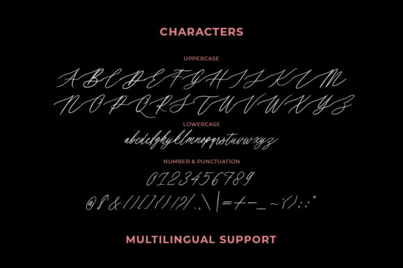 Erlinka Hillary Font Poster 5