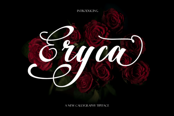Eryca Font Poster 1