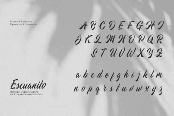 Escuanito Font Poster 7