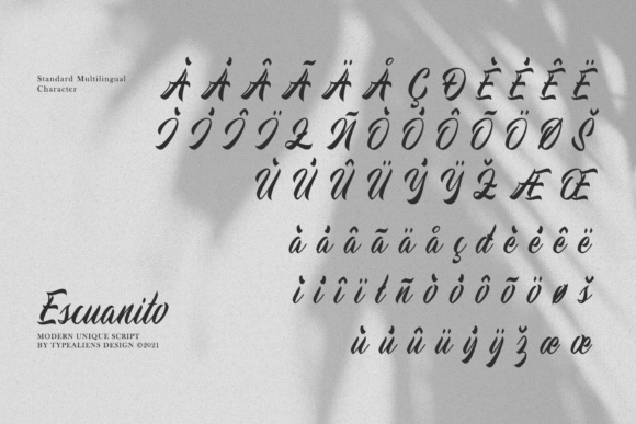 Escuanito Font Poster 9