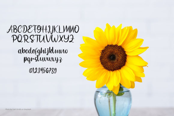 Esfan Script Font Poster 5