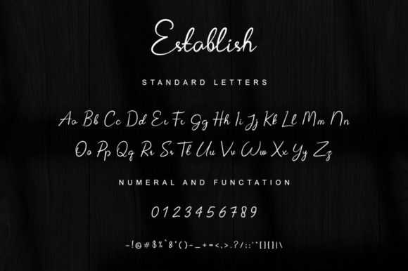 Establish Font Poster 4