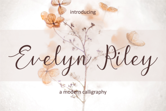 Evelyn Riley Font Poster 1