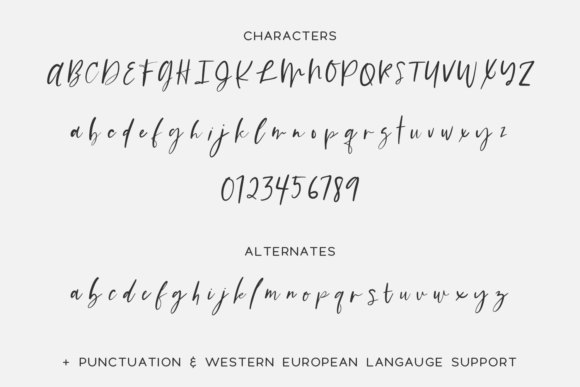 Everybody Font Poster 10