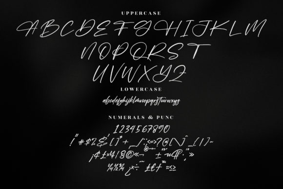 Falernola Font Poster 13
