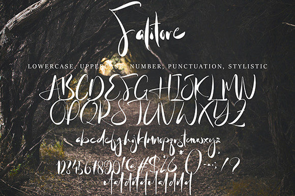 Falitore Font Poster 8