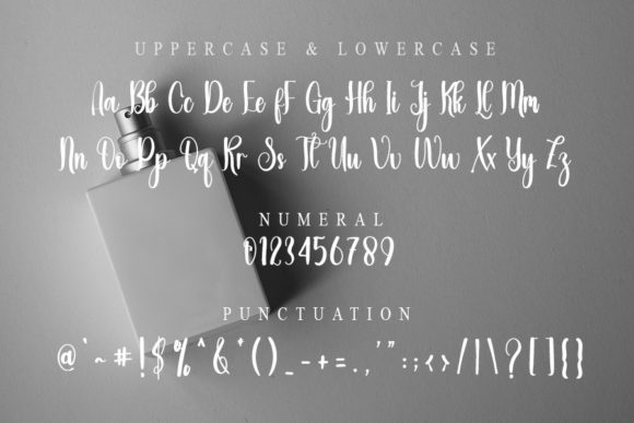 Family Font Poster 3