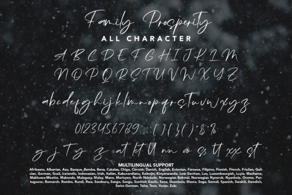 Family Prosperity Font Poster 8