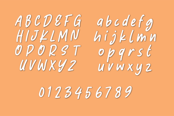 Farmhouse Handwriting Font Poster 4