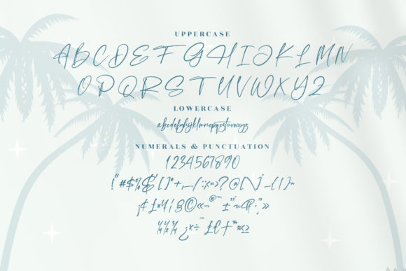 Fasifik Capture Font Poster 13