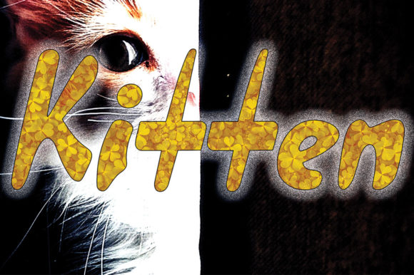 Faza Ali Font Poster 4