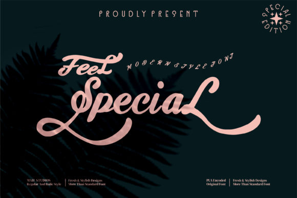 Feel Special Font Poster 1