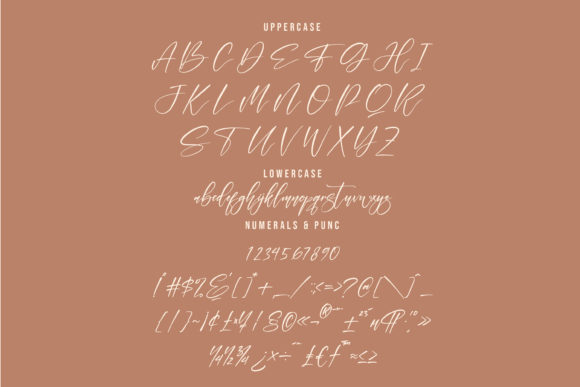 Felisha Font Poster 13