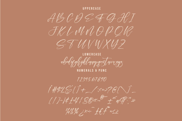 Felisha Font Poster 13