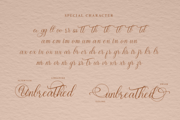 Female Baleon Font Poster 9