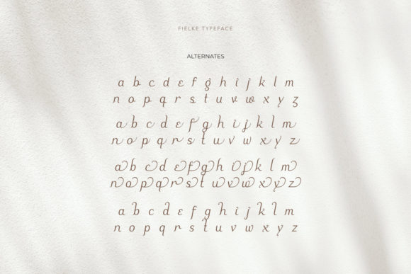 Fielke Font Poster 6